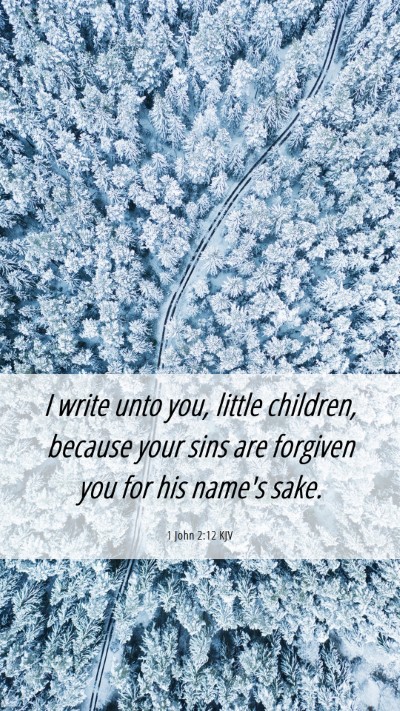 Picture 06 - 1 John 2:12 KJV Mobile Phone Wallpaper - I write unto you, little children, because your - Mobile Bible Verse Wallpaper