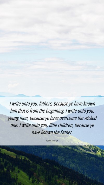 Picture 06 - 1 John 2:13 KJV Mobile Phone Wallpaper - I write unto you, fathers, because ye have known - Mobile Bible Verse Wallpaper