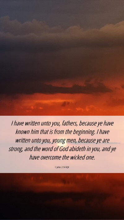 Picture 06 - 1 John 2:14 KJV Mobile Phone Wallpaper - I have written unto you, fathers, because ye have - Mobile Bible Verse Wallpaper