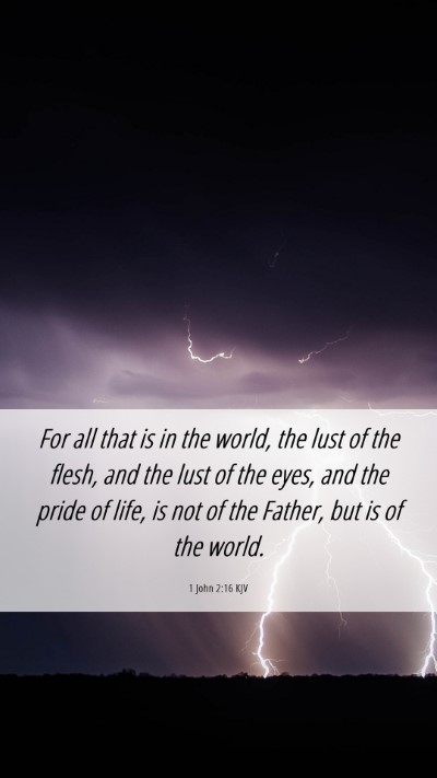 Picture 06 - 1 John 2:16 KJV Mobile Phone Wallpaper - For all that is in the world, the lust of the - Mobile Bible Verse Wallpaper