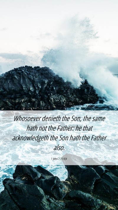Picture 06 - 1 John 2:23 KJV Mobile Phone Wallpaper - Whosoever denieth the Son, the same hath not the - Mobile Bible Verse Wallpaper