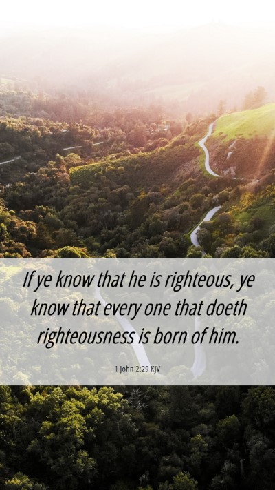 Picture 06 - 1 John 2:29 KJV Mobile Phone Wallpaper - If ye know that he is righteous, ye know that - Mobile Bible Verse Wallpaper