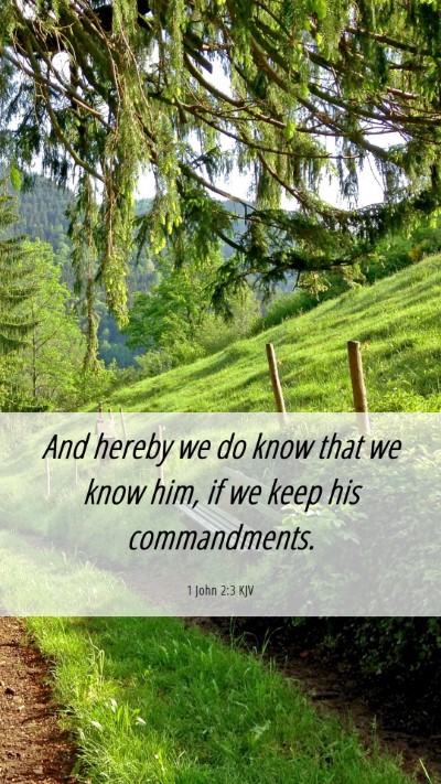 Picture 06 - 1 John 2:3 KJV Mobile Phone Wallpaper - And hereby we do know that we know him, if we - Mobile Bible Verse Wallpaper