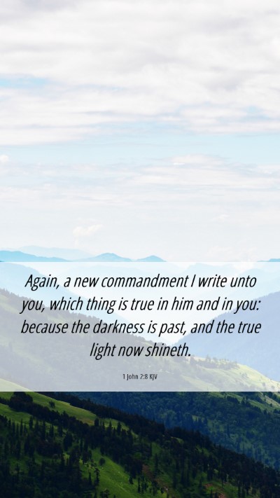 Picture 06 - 1 John 2:8 KJV Mobile Phone Wallpaper - Again, a new commandment I write unto you, which - Mobile Bible Verse Wallpaper