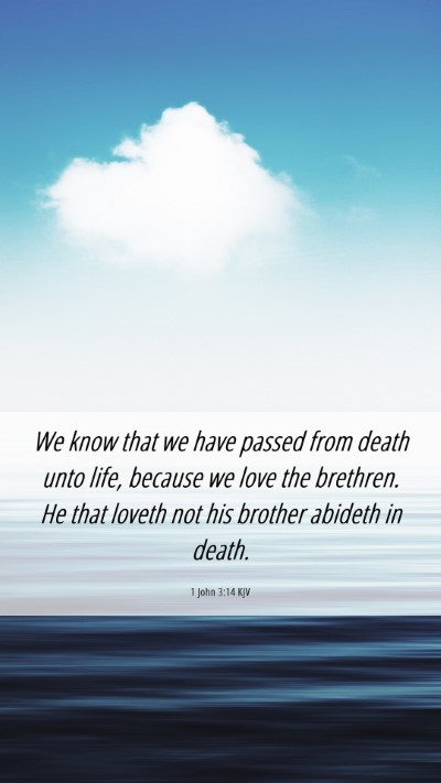 Picture 06 - 1 John 3:14 KJV Mobile Phone Wallpaper - We know that we have passed from death unto life, - Mobile Bible Verse Wallpaper