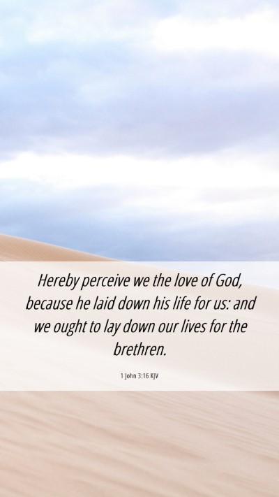 Picture 06 - 1 John 3:16 KJV Mobile Phone Wallpaper - Hereby perceive we the love of God, because he - Mobile Bible Verse Wallpaper