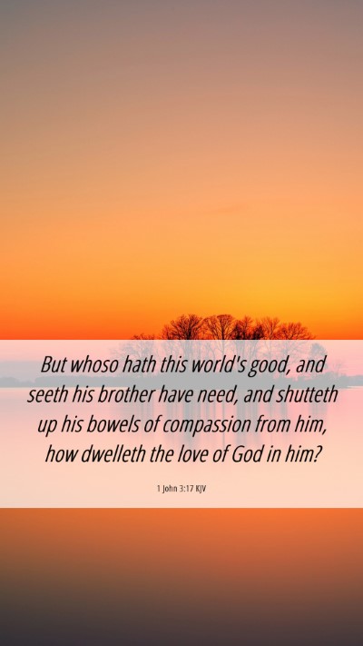 Picture 06 - 1 John 3:17 KJV Mobile Phone Wallpaper - But whoso hath this world's good, and seeth his - Mobile Bible Verse Wallpaper