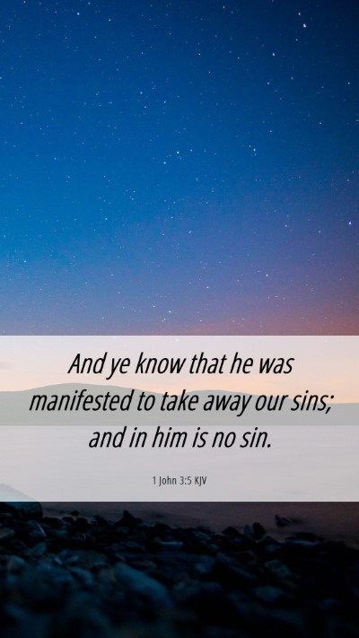 Picture 06 - 1 John 3:5 KJV Mobile Phone Wallpaper - And ye know that he was manifested to take away - Mobile Bible Verse Wallpaper