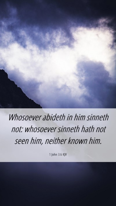 Picture 06 - 1 John 3:6 KJV Mobile Phone Wallpaper - Whosoever abideth in him sinneth not: whosoever - Mobile Bible Verse Wallpaper