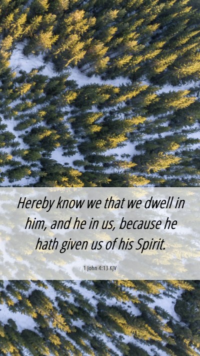 Picture 06 - 1 John 4:13 KJV Mobile Phone Wallpaper - Hereby know we that we dwell in him, and he in - Mobile Bible Verse Wallpaper