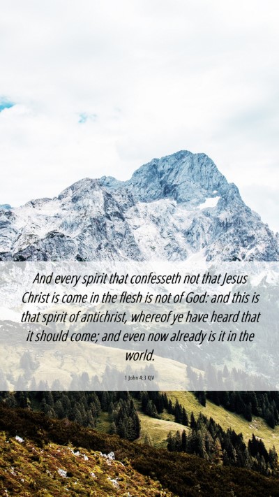 Picture 06 - 1 John 4:3 KJV Mobile Phone Wallpaper - And every spirit that confesseth not that Jesus - Mobile Bible Verse Wallpaper