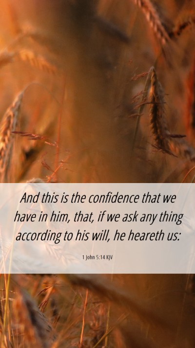 Picture 06 - 1 John 5:14 KJV Mobile Phone Wallpaper - And this is the confidence that we have in him, - Mobile Bible Verse Wallpaper