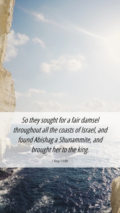 Picture 06 - 1 Kings 1:3 KJV Mobile Phone Wallpaper - So they sought for a fair damsel throughout all - Mobile Bible Verse Wallpaper