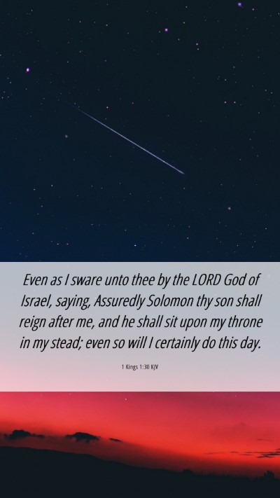 Picture 06 - 1 Kings 1:30 KJV Mobile Phone Wallpaper - Even as I sware unto thee by the LORD God of - Mobile Bible Verse Wallpaper