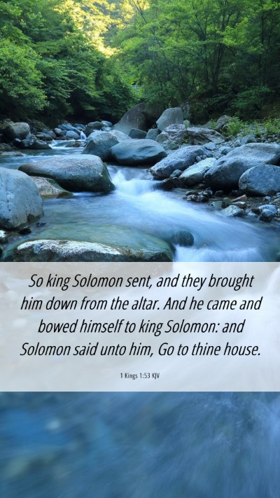 Picture 06 - 1 Kings 1:53 KJV Mobile Phone Wallpaper - So king Solomon sent, and they brought him down - Mobile Bible Verse Wallpaper