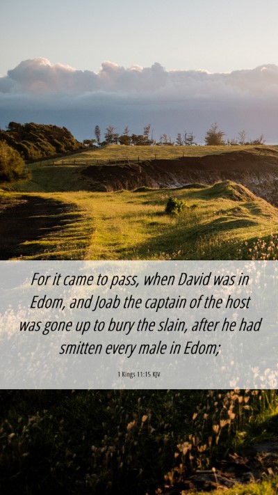 Picture 06 - 1 Kings 11:15 KJV Mobile Phone Wallpaper - For it came to pass, when David was in Edom, and - Mobile Bible Verse Wallpaper