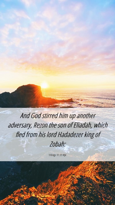 Picture 06 - 1 Kings 11:23 KJV Mobile Phone Wallpaper - And God stirred him up another adversary, Rezon - Mobile Bible Verse Wallpaper