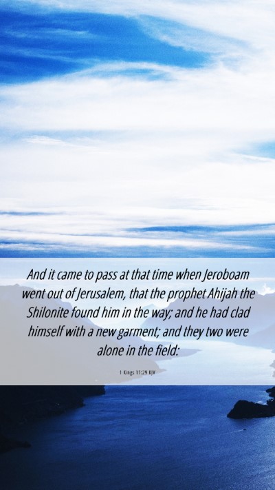 Picture 06 - 1 Kings 11:29 KJV Mobile Phone Wallpaper - And it came to pass at that time when Jeroboam - Mobile Bible Verse Wallpaper