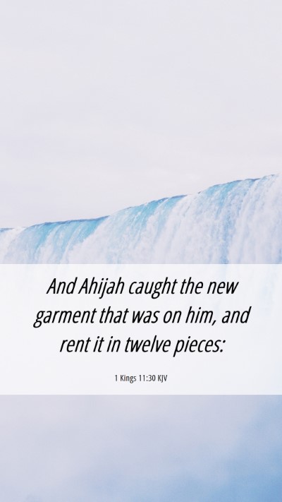 Picture 06 - 1 Kings 11:30 KJV Mobile Phone Wallpaper - And Ahijah caught the new garment that was on - Mobile Bible Verse Wallpaper