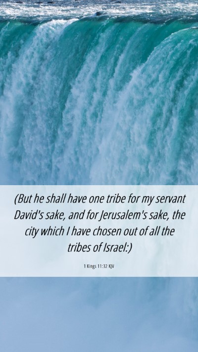 Picture 06 - 1 Kings 11:32 KJV Mobile Phone Wallpaper - (But he shall have one tribe for my servant - Mobile Bible Verse Wallpaper
