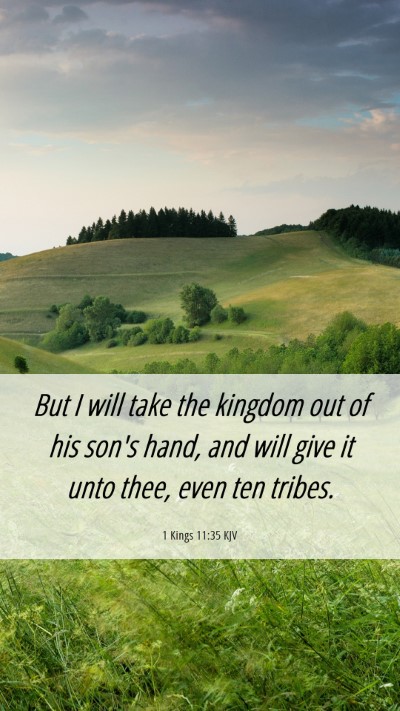 Picture 06 - 1 Kings 11:35 KJV Mobile Phone Wallpaper - But I will take the kingdom out of his son's - Mobile Bible Verse Wallpaper