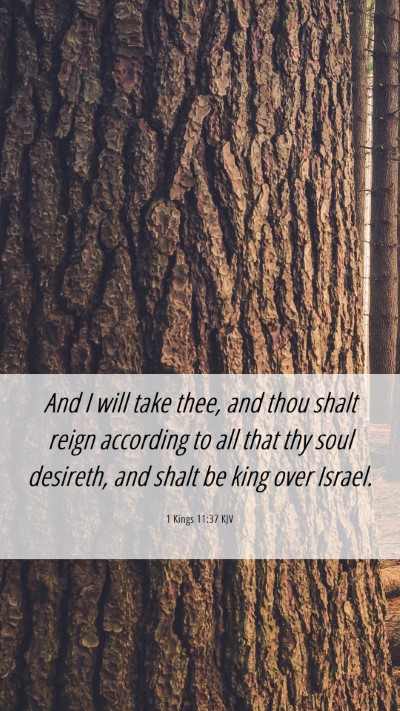 Picture 06 - 1 Kings 11:37 KJV Mobile Phone Wallpaper - And I will take thee, and thou shalt reign - Mobile Bible Verse Wallpaper