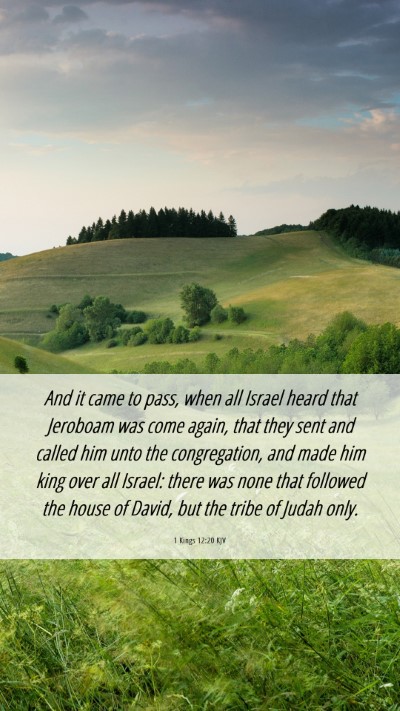 Picture 06 - 1 Kings 12:20 KJV Mobile Phone Wallpaper - And it came to pass, when all Israel heard that - Mobile Bible Verse Wallpaper