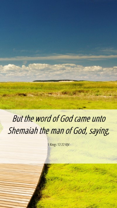 Picture 06 - 1 Kings 12:22 KJV Mobile Phone Wallpaper - But the word of God came unto Shemaiah the man of - Mobile Bible Verse Wallpaper