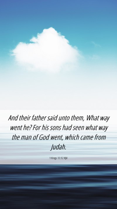 Picture 06 - 1 Kings 13:12 KJV Mobile Phone Wallpaper - And their father said unto them, What way went - Mobile Bible Verse Wallpaper