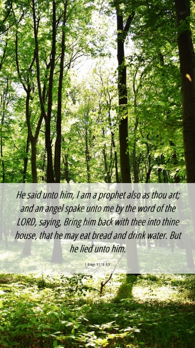 Picture 06 - 1 Kings 13:18 KJV Mobile Phone Wallpaper - He said unto him, I am a prophet also as thou - Mobile Bible Verse Wallpaper