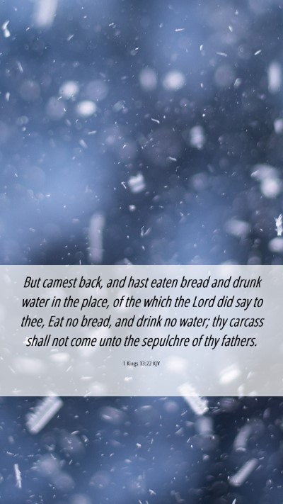 Picture 06 - 1 Kings 13:22 KJV Mobile Phone Wallpaper - But camest back, and hast eaten bread and drunk - Mobile Bible Verse Wallpaper