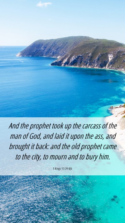 Picture 06 - 1 Kings 13:29 KJV Mobile Phone Wallpaper - And the prophet took up the carcass of the man of - Mobile Bible Verse Wallpaper