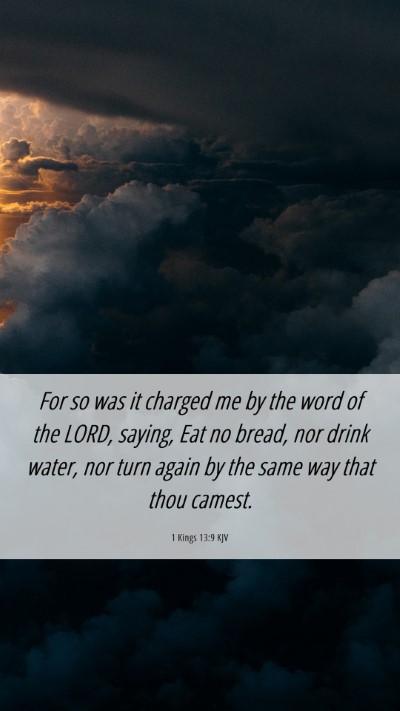 Picture 06 - 1 Kings 13:9 KJV Mobile Phone Wallpaper - For so was it charged me by the word of the LORD, - Mobile Bible Verse Wallpaper