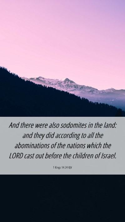 Picture 06 - 1 Kings 14:24 KJV Mobile Phone Wallpaper - And there were also sodomites in the land: and - Mobile Bible Verse Wallpaper