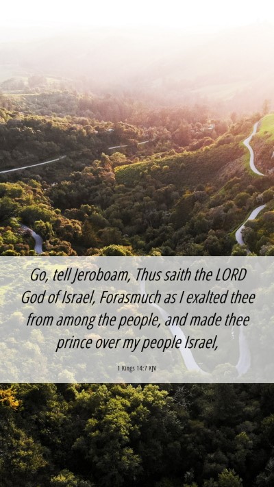 Picture 06 - 1 Kings 14:7 KJV Mobile Phone Wallpaper - Go, tell Jeroboam, Thus saith the LORD God of - Mobile Bible Verse Wallpaper