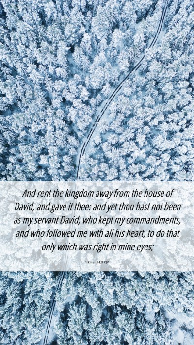 Picture 06 - 1 Kings 14:8 KJV Mobile Phone Wallpaper - And rent the kingdom away from the house of - Mobile Bible Verse Wallpaper