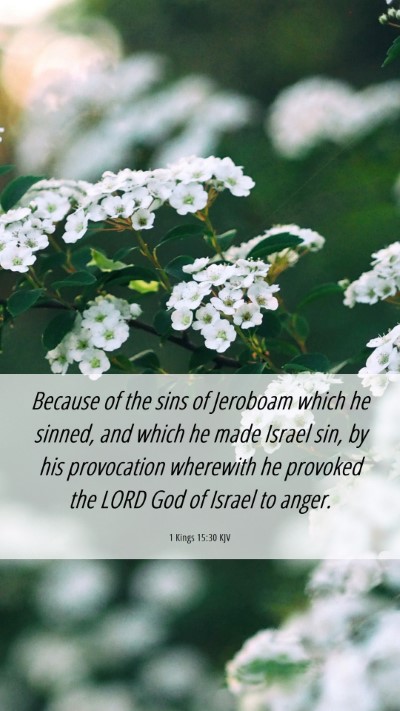 Picture 06 - 1 Kings 15:30 KJV Mobile Phone Wallpaper - Because of the sins of Jeroboam which he sinned, - Mobile Bible Verse Wallpaper