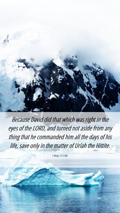 Picture 06 - 1 Kings 15:5 KJV Mobile Phone Wallpaper - Because David did that which was right in the - Mobile Bible Verse Wallpaper