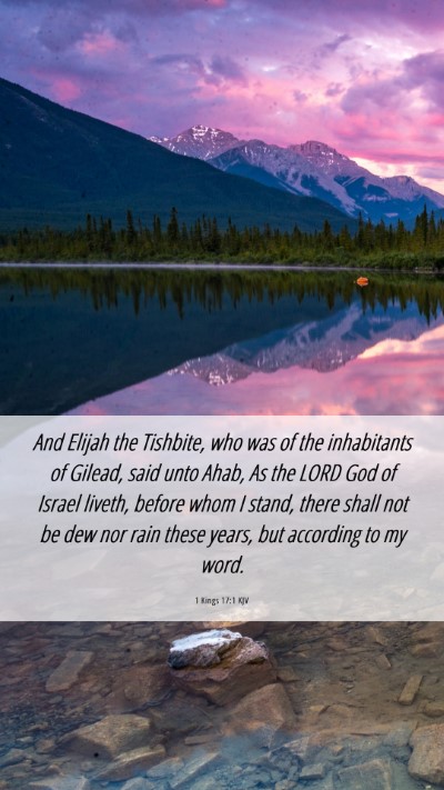 Picture 06 - 1 Kings 17:1 KJV Mobile Phone Wallpaper - And Elijah the Tishbite, who was of the - Mobile Bible Verse Wallpaper