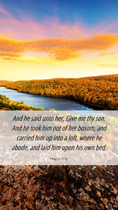 Picture 06 - 1 Kings 17:19 KJV Mobile Phone Wallpaper - And he said unto her, Give me thy son. And he - Mobile Bible Verse Wallpaper