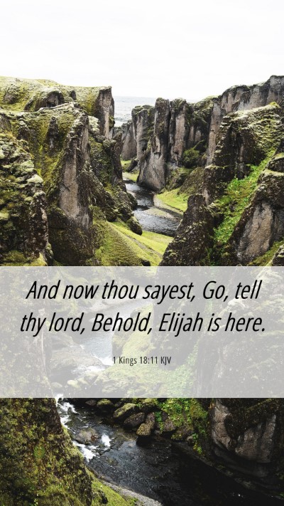 Picture 06 - 1 Kings 18:11 KJV Mobile Phone Wallpaper - And now thou sayest, Go, tell thy lord, Behold, - Mobile Bible Verse Wallpaper
