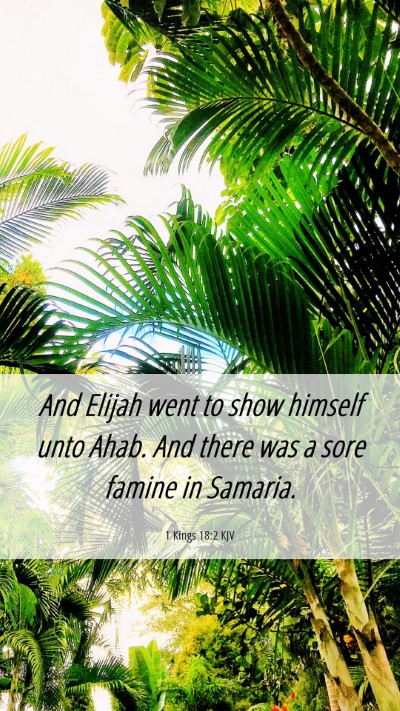 Picture 06 - 1 Kings 18:2 KJV Mobile Phone Wallpaper - And Elijah went to show himself unto Ahab. And - Mobile Bible Verse Wallpaper
