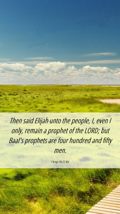 Picture 06 - 1 Kings 18:22 KJV Mobile Phone Wallpaper - Then said Elijah unto the people, I, even I only, - Mobile Bible Verse Wallpaper