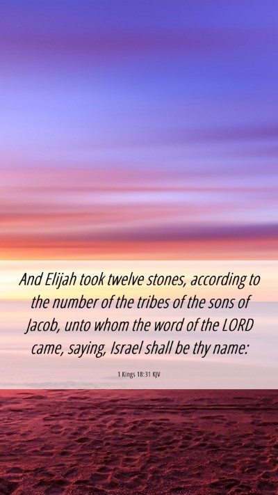 Picture 06 - 1 Kings 18:31 KJV Mobile Phone Wallpaper - And Elijah took twelve stones, according to the - Mobile Bible Verse Wallpaper
