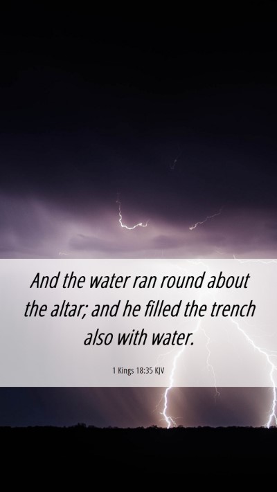 Picture 06 - 1 Kings 18:35 KJV Mobile Phone Wallpaper - And the water ran round about the altar; and he - Mobile Bible Verse Wallpaper