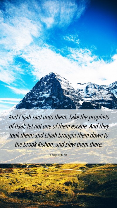 Picture 06 - 1 Kings 18:40 KJV Mobile Phone Wallpaper - And Elijah said unto them, Take the prophets of - Mobile Bible Verse Wallpaper