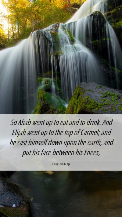 Picture 06 - 1 Kings 18:42 KJV Mobile Phone Wallpaper - So Ahab went up to eat and to drink. And Elijah - Mobile Bible Verse Wallpaper