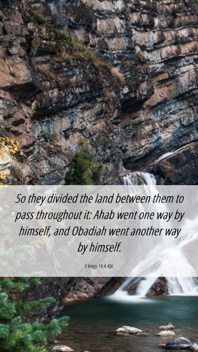 Picture 06 - 1 Kings 18:6 KJV Mobile Phone Wallpaper - So they divided the land between them to pass - Mobile Bible Verse Wallpaper