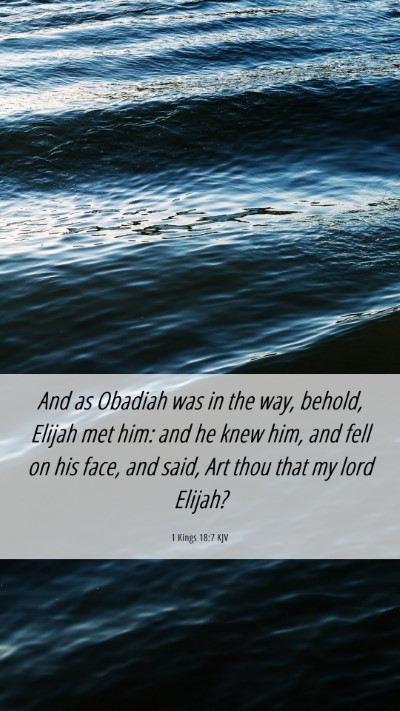 Picture 06 - 1 Kings 18:7 KJV Mobile Phone Wallpaper - And as Obadiah was in the way, behold, Elijah met - Mobile Bible Verse Wallpaper