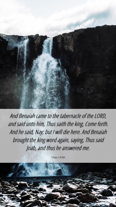 Picture 06 - 1 Kings 2:30 KJV Mobile Phone Wallpaper - And Benaiah came to the tabernacle of the LORD, - Mobile Bible Verse Wallpaper